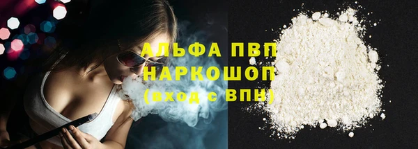 индика Абаза