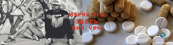 индика Абаза