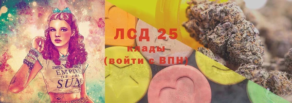 индика Абаза