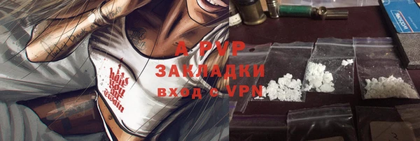 индика Абаза