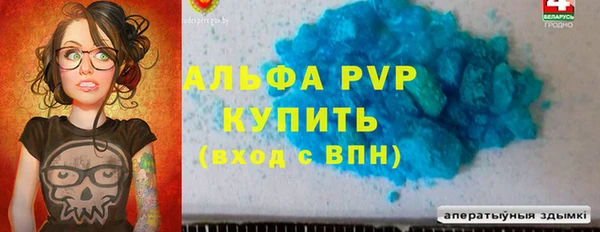 индика Абаза