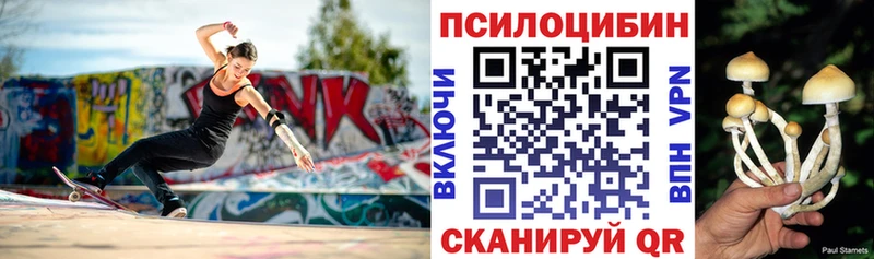 Галлюциногенные грибы Cubensis Кораблино